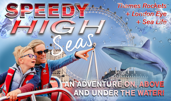 Picture of Speedy High Seas (50min + London Eye + Sealife)